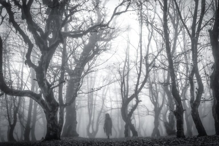 How Lunar Phases Influence Your Tarot Readings